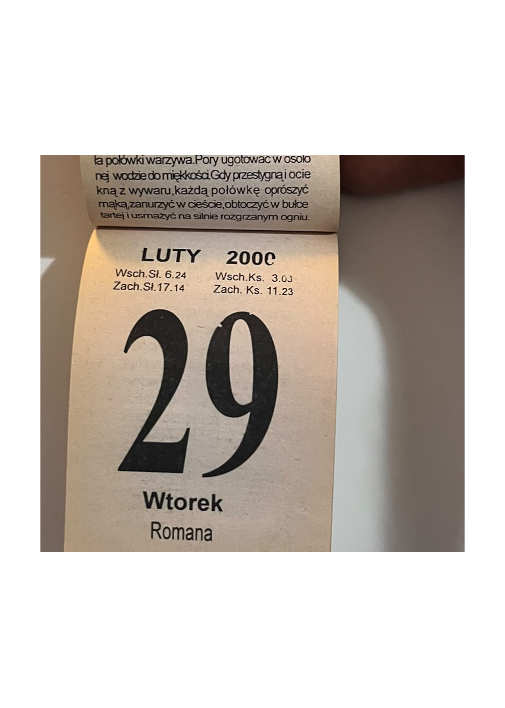 Drugie zdjęcie – Kalendarz 2000 – okładka z tulipanami