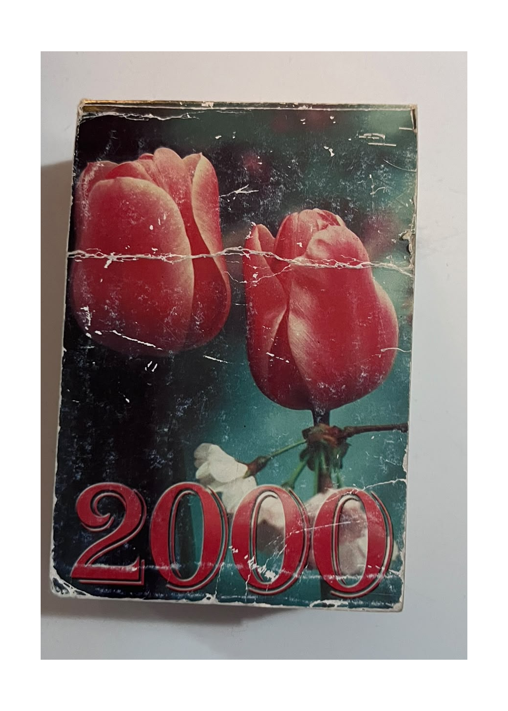 Kalendarz 2000 – okładka z tulipanami